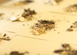 Herbal medicine manufacturers